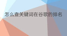 怎么查关键词在谷歌的排名 在谷歌怎么查关键词排名