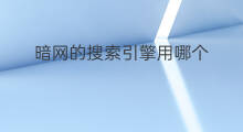 暗网的搜索引擎用哪个 暗网搜索引擎选哪个
