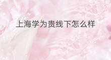 上海学为贵线下怎么样 上海得物线下店怎么样