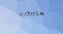 seo优化年薪 chatgpt年薪