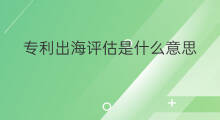 专利出海评估是什么意思 媒体出海是什么意思