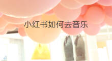 小红书如何去音乐 快手小红书如何下载音乐