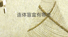 连体盲盒有哪些 连体盲盒怎么使用