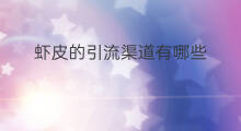 虾皮的引流渠道有哪些 跨境电商引流渠道有哪些