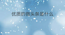 优质的微头条是什么 头条怎么写出优质的微头条