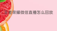 王者荣耀微信直播怎么回放 微信直播怎么添加王者荣耀
