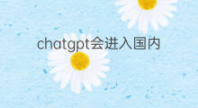 chatgpt会进入国内吗(chatgpt国内会引进吗)