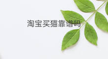 淘宝买猫靠谱吗 天猫买iphone靠谱吗