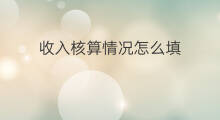 收入核算情况怎么填 收录情况怎么填