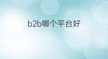 b2b哪个平台好 B2B平台哪家好