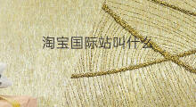 淘宝国际站叫什么 1688国际站叫什么通