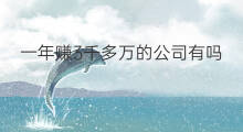 一年赚3千多万的公司有吗 一年赚5万的公司多吗