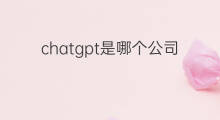 chatgpt是哪个公司推出的(chatgpt是哪家美国公司推出的)