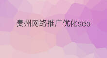 贵州网络推广优化seo 贵州seo优化网络