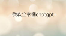 微软全家桶chatgpt4.0 chatgpt4.0微软全家桶