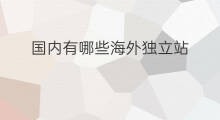 国内有哪些海外独立站 国内有哪些外贸独立站