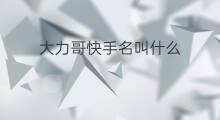大力哥快手名叫什么 快手名叫什么好听