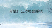 养植什么动物最赚钱 稻田养什么最赚钱