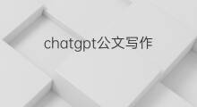 chatgpt公文写作(全网首发chatgpt公文写作功能测评)