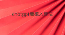 chatgpt能植入算法模型吗(chatgpt算法模型原理)