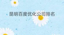 昆明百度优化公司排名 昆明百度优化排名推广