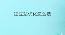 独立站优化怎么选 独立站怎么选模板
