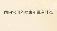 国内常用的搜索引擎有什么 常用的搜索引擎有什么