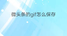 微头条的gif怎么保存 微头条gif怎么制作的