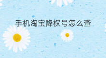 手机淘宝降权号怎么查 怎么查手机淘宝降权