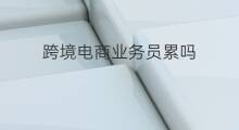 跨境电商业务员累吗 跨境电商业务员做什么