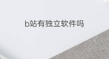 b站有独立软件吗 独立站搬运软件有哪些