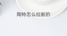 陶特怎么拉新的 陶特怎么申请拉新码