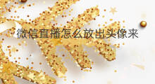 微信直播怎么放出头像来 微信直播怎样播放出声音