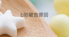 b站被告原因 b站的原因