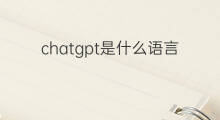 chatgpt是什么语言(chatgpt是什么语言开发的)
