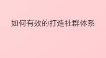 如何有效的打造社群体系 怎么建设有温度的社群体系