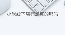 小米线下店铺是真的吗吗 小米线下店铺可以卖吗