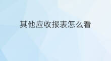 其他应收报表怎么看 应收应付账目报表怎么看