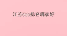 江苏seo排名哪家好 江苏谷歌排名哪家好