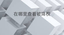 在哪里查看被降权 降权在哪里查看