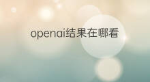 openai结果在哪看 openai在哪用