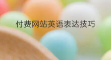 付费网站英语表达技巧 跨境电商英语怎么表达