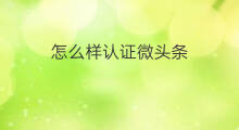 怎么样认证微头条 微头条认证怎么推广