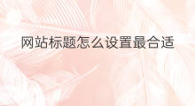 网站标题怎么设置最合适 养殖什么副业最合适