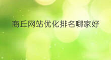 商丘网站优化排名哪家好 商丘网站优化排名