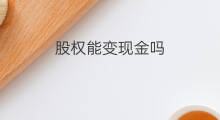 股权能变现金吗 股权投资多久能变现完