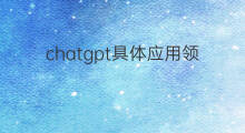 chatgpt具体应用领域(chatgpt应用领域)