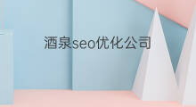 酒泉seo优化公司 酒泉seo优化方案