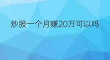 炒股一个月赚20万可以吗 20岁一个月赚20万多吗