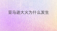 亚马逊大火为什么发生 亚马逊发生大火了吗